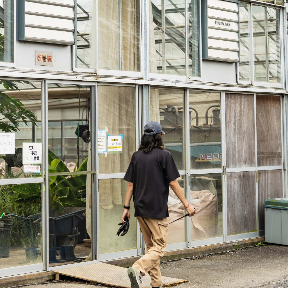 スタッフ